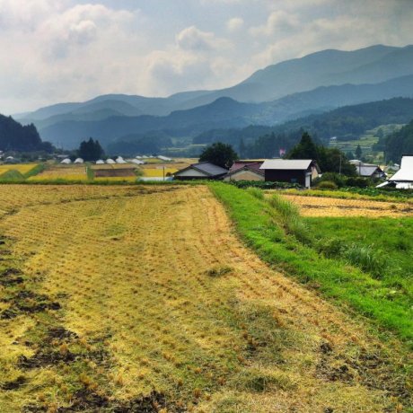 Kumakogen
