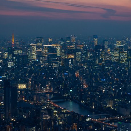 Viewpoints in Tokyo
