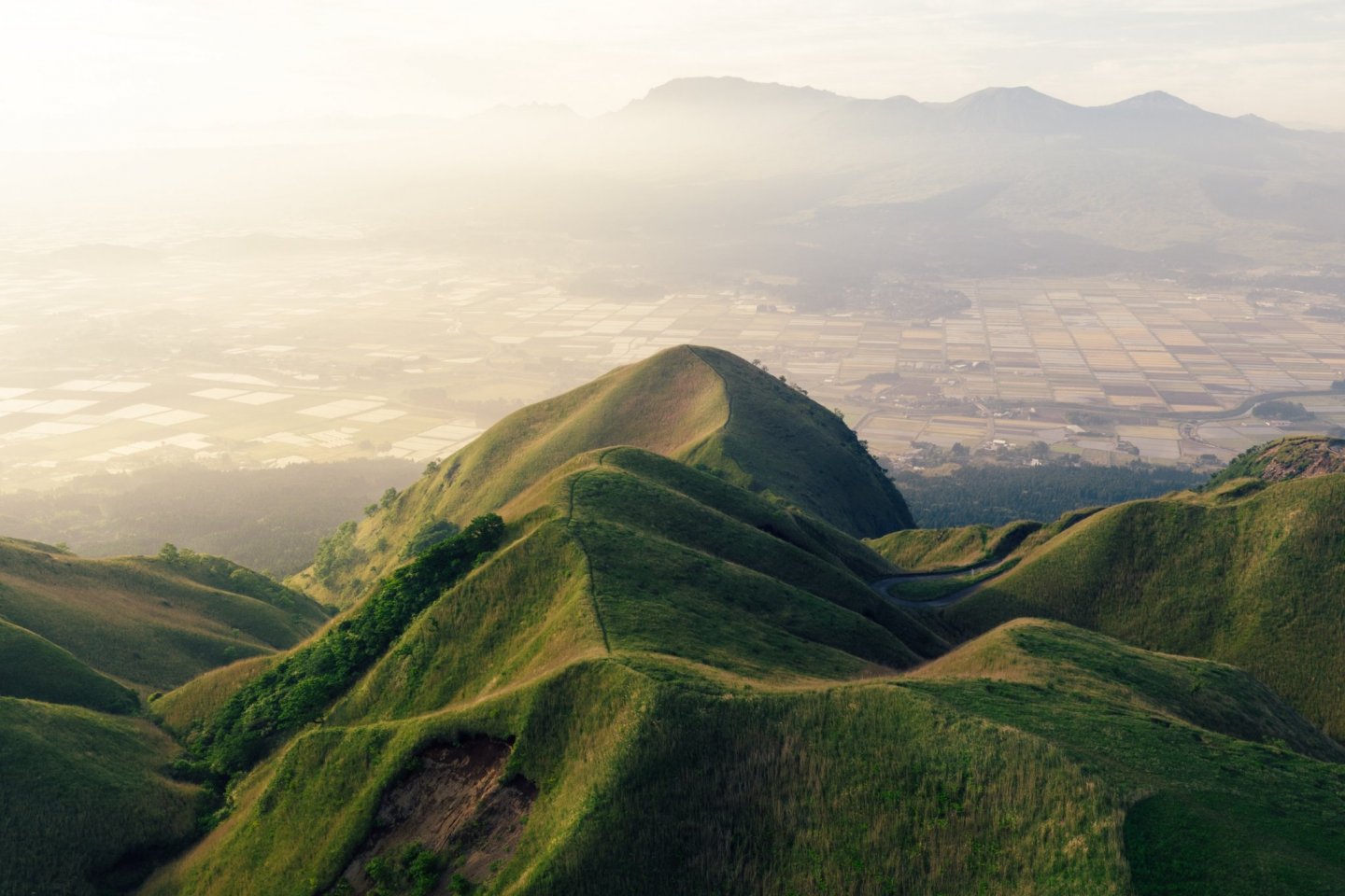 region image