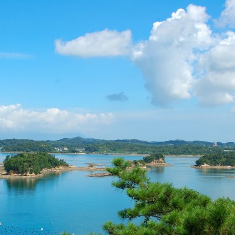 Amakusa