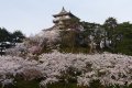 Sakai