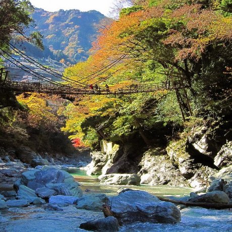 Miyoshi