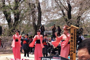 Kakunodate Cherry Blossom Festival