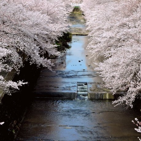 Machida