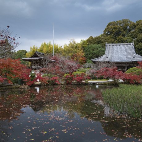 Tenri