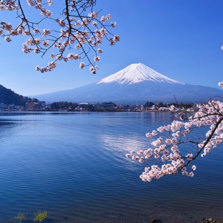Fujikawaguchiko