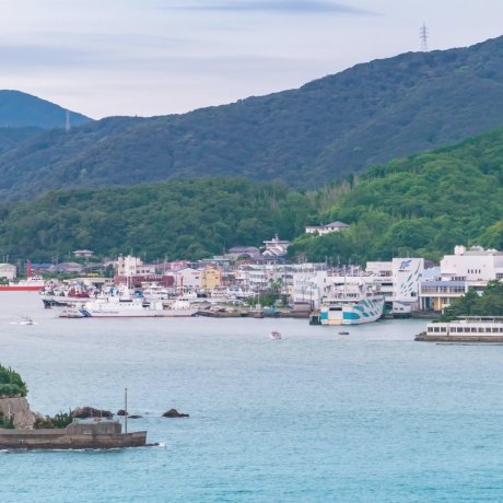 Toba