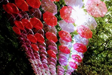 Umbrella Sky at Metsa Village