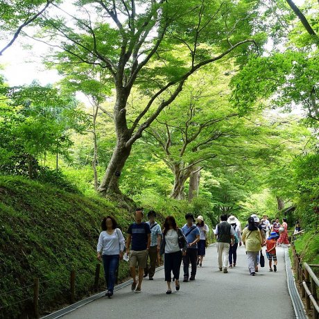 Hiraizumi