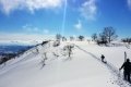 Niseko