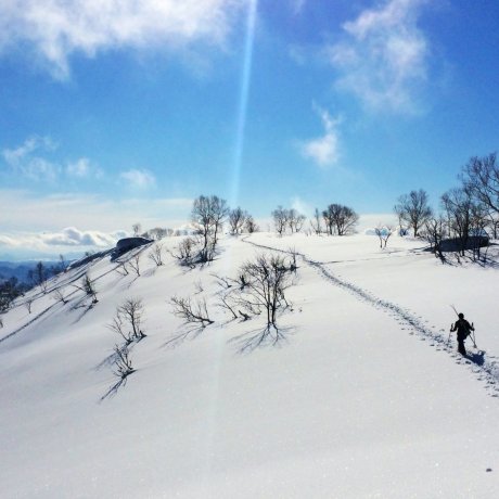 Niseko