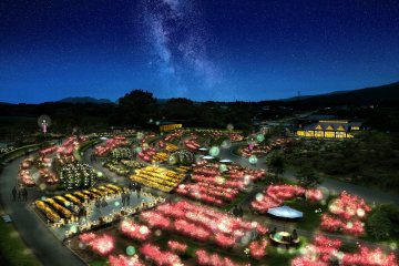 Moonlight Rose Garden
