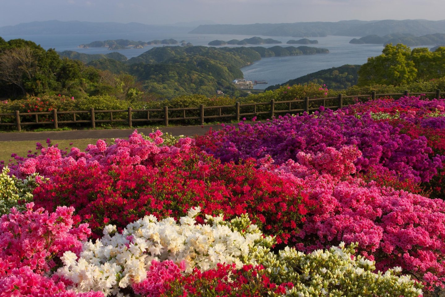 Nagushiyama Azalea Festival