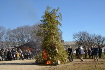 Dondoyaki Festival at Hitachi Seaside Park