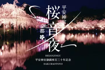 Heian Shrine Sakura Otoyo