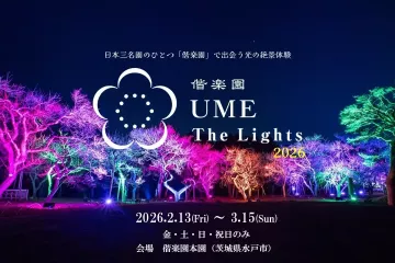 Kairakuen UME The Lights