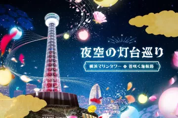 Night Sky Lighthouse Tour at Yokohama Marine Tower