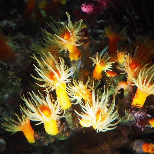 Sunshine Aquarium