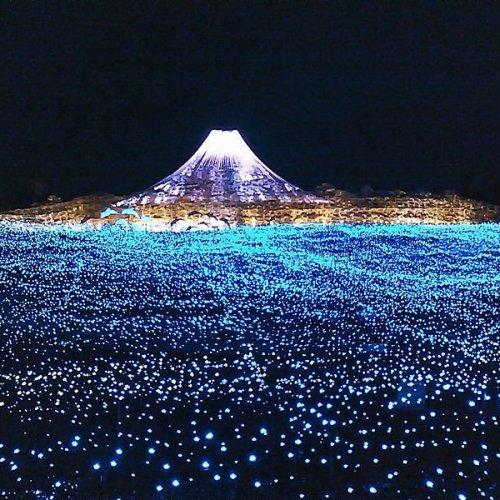 Nabana no Sato Illumination