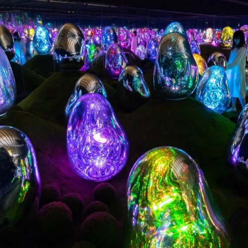 teamLab Planets TOKYO DMM