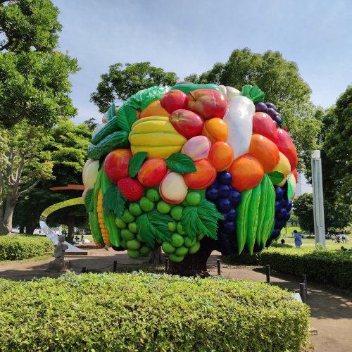 Rinko Park