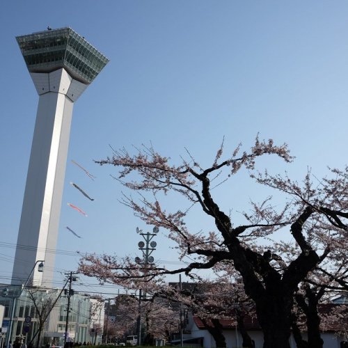 Goryokaku Park