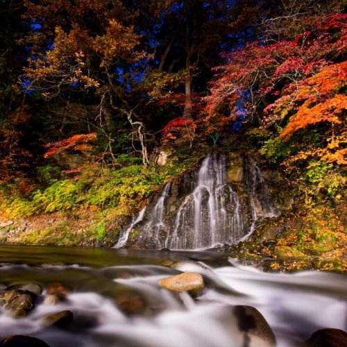 Nakano Momiji-yama